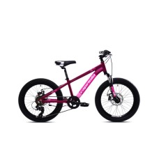 CAPRIOLO MTB LC 200 20'' 6AL ljubičasta 925518-11 CAPRIOLO MTB LC 200 20'' 6AL ljubičasta 925518-11