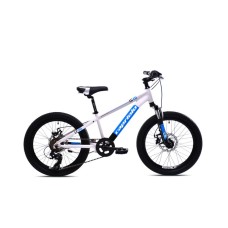 CAPRIOLO MTB LC 200 20'' 6AL sivo 925516-11 CAPRIOLO MTB LC 200 20'' 6AL sivo 925516-11