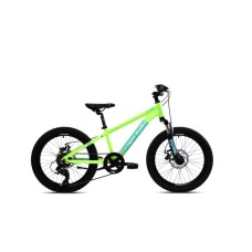 CAPRIOLO MTB LC 200 20'' 6AL zeleno 925517-11 CAPRIOLO MTB LC 200 20'' 6AL zeleno 925517-11