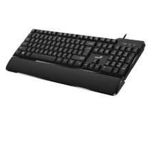 GENIUS Tastatura USB KB-100XP US GENIUS Tastatura USB KB-100XP US