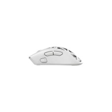 WHITE SHARK MIŠ WGM 5025 MORIEN Wireless Mouse White