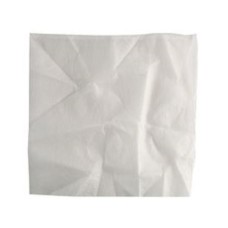 EINHELL Tekstilni filter – za DUO- INOX serije, 2351140