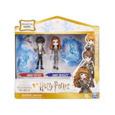 HARRY POTTER Hari i Džini HARRY POTTER Hari i Džini