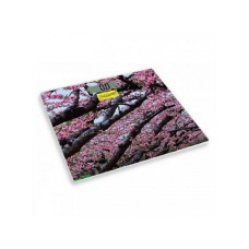 MAESTRO Digitalna  podna vaga MR1823