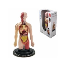 Milla Toys Lutka Ljudski torzo 95/35006 Milla Toys Lutka Ljudski torzo 95/35006