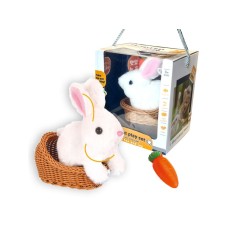 PERTINI Interaktivni zeka u korpi