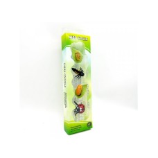 PERTINI Životni ciklus bubamare set od 4 dela